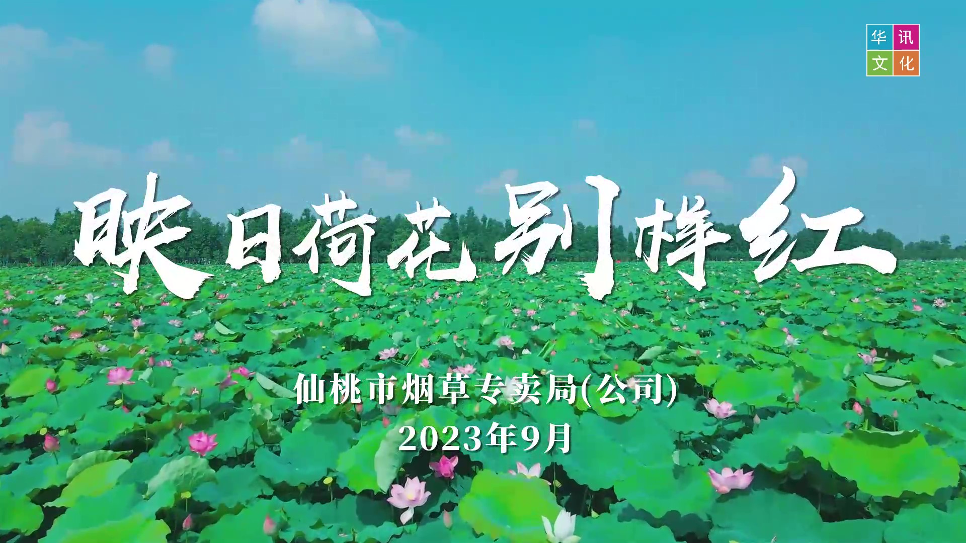 仙桃烟草-映日荷花别样红 